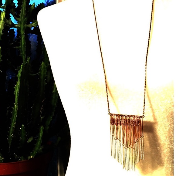 American Eagle Outfitters Jewelry - American Eagle Copper & Silver Fringe Necklace